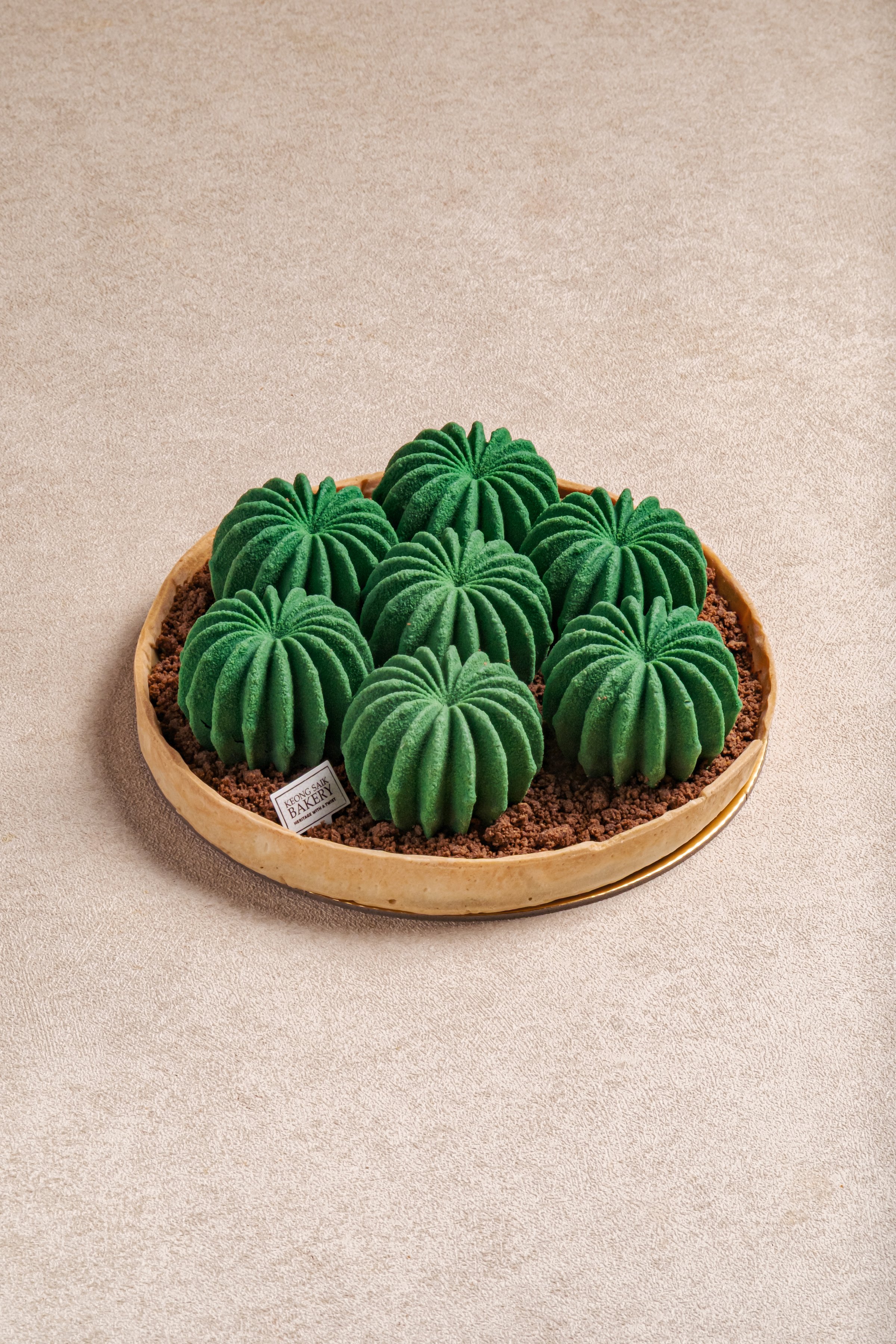 Cactus Garden